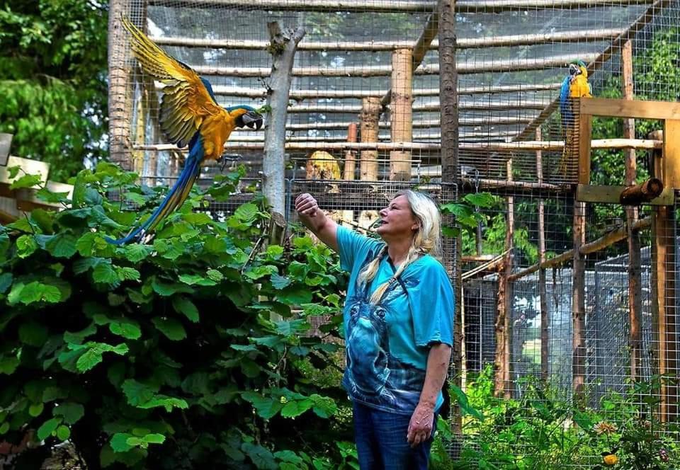 The Parrot Hotel, Live In A Rescue Animal Park Næstved 外观 照片
